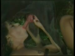 The lovely youngster gave the big dog dick a blowjob.